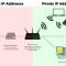 Private IP/Public IP? Private Network/Public Network? VPN?