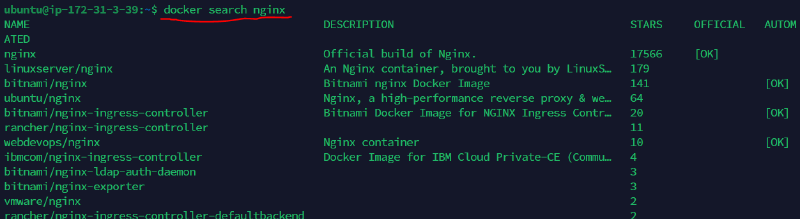 docker search execution screen