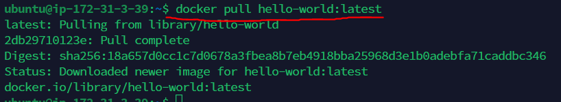 이미지 다운로드 진행 화면