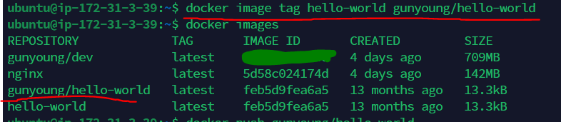 docker image tag 명령어 실행