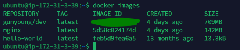 docker images 명령어 실행 화면